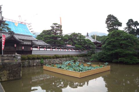 kodak_11_08_91